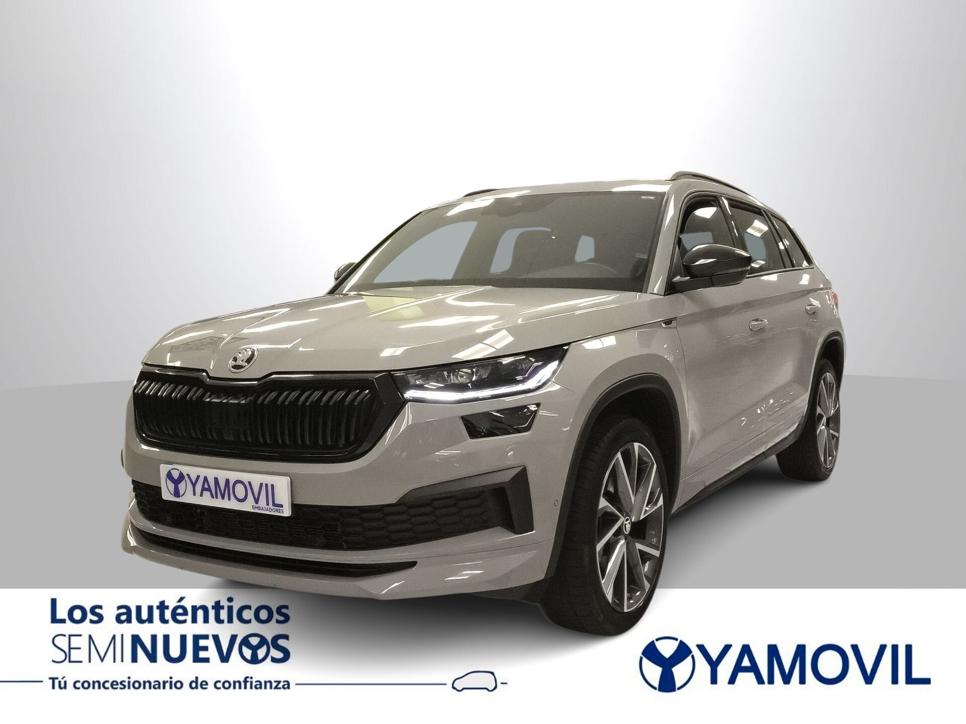 Imagen de SKODA Kodiaq