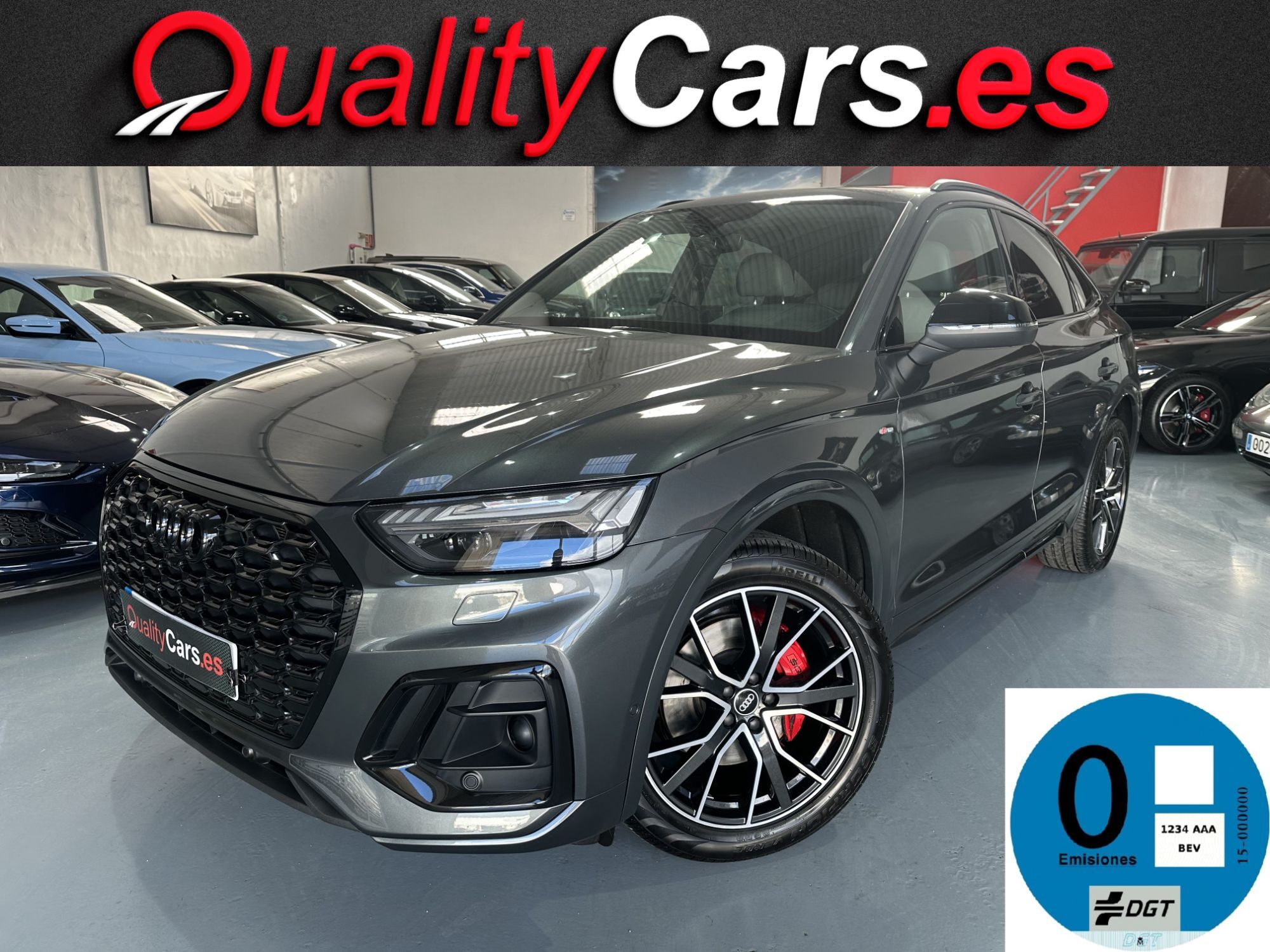 AUDI Q5 (Sportback 50 TFSIe Black line quattro-ultra S tronic) en Valencia