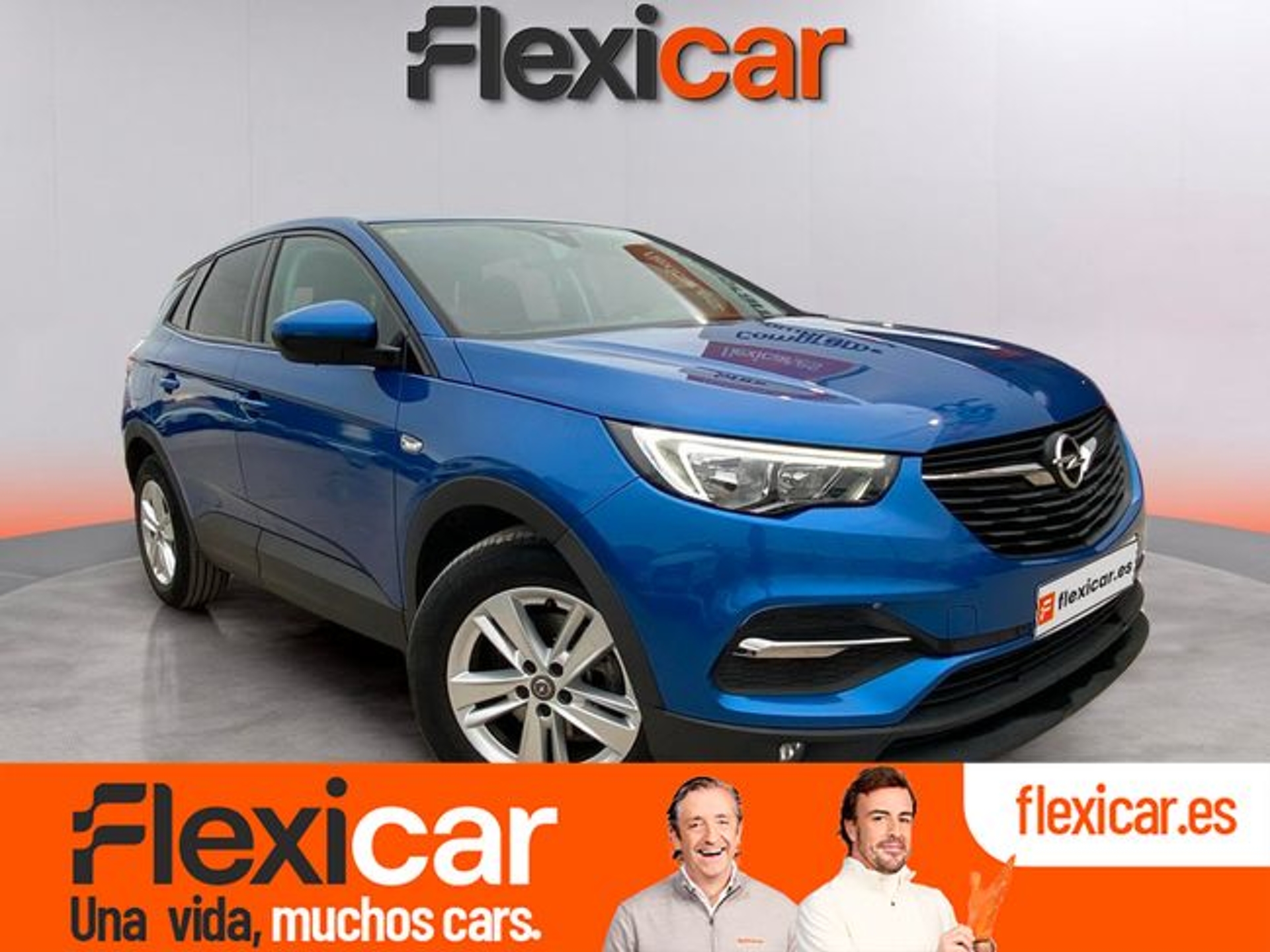 Imagen de OPEL Grandland X