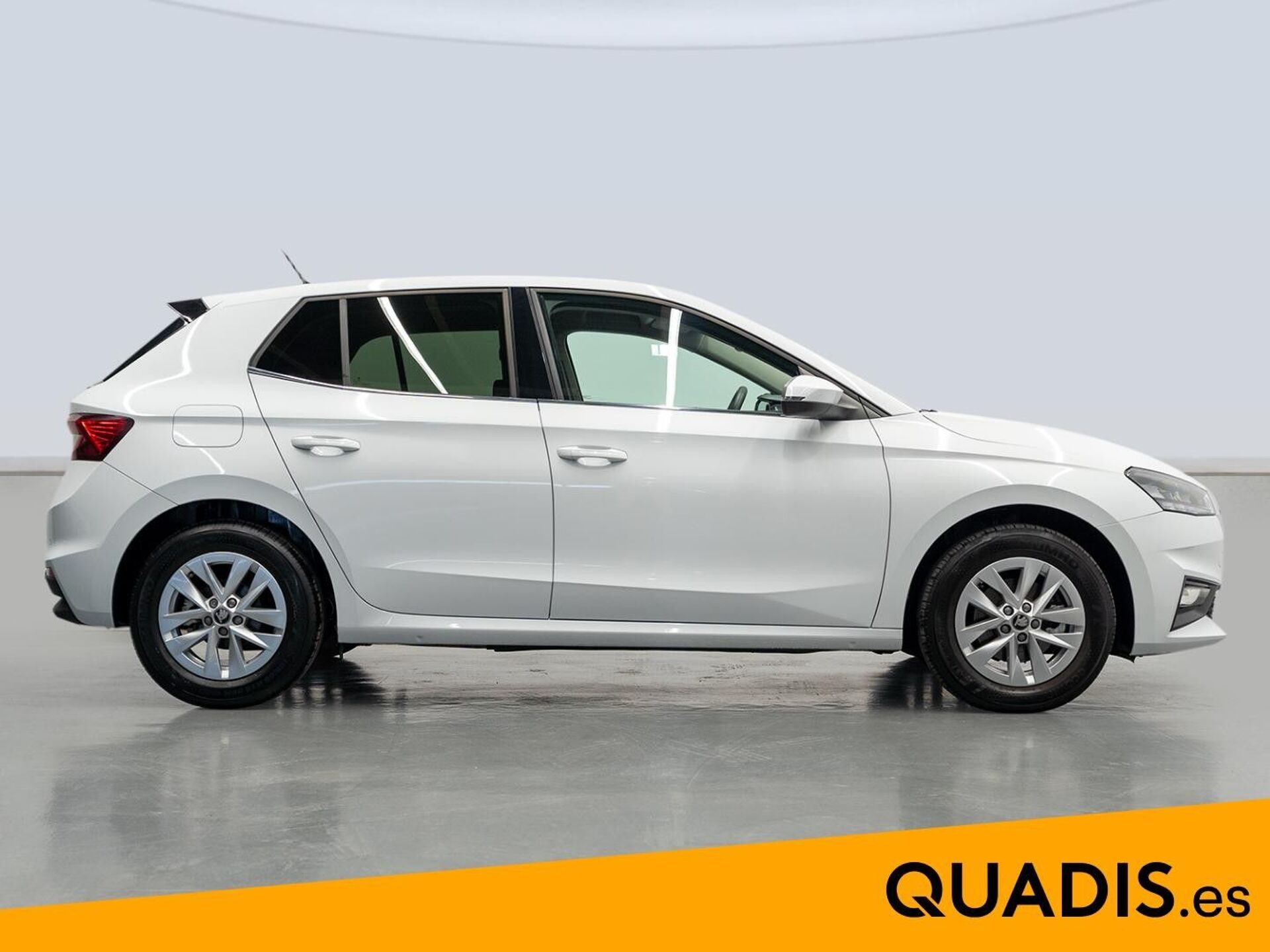 Imagen 3 de SKODA Fabia