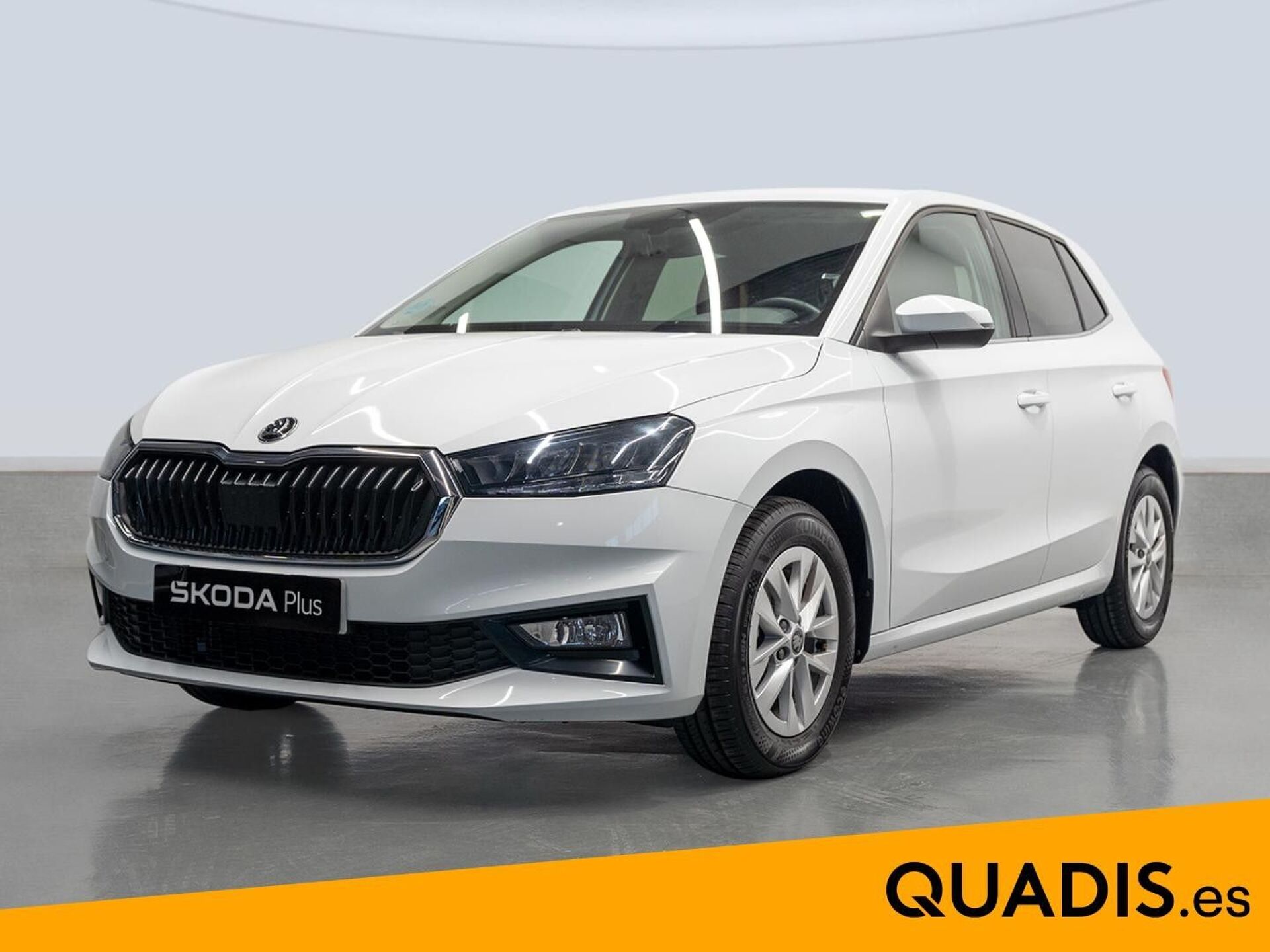 Imagen 1 de SKODA Fabia