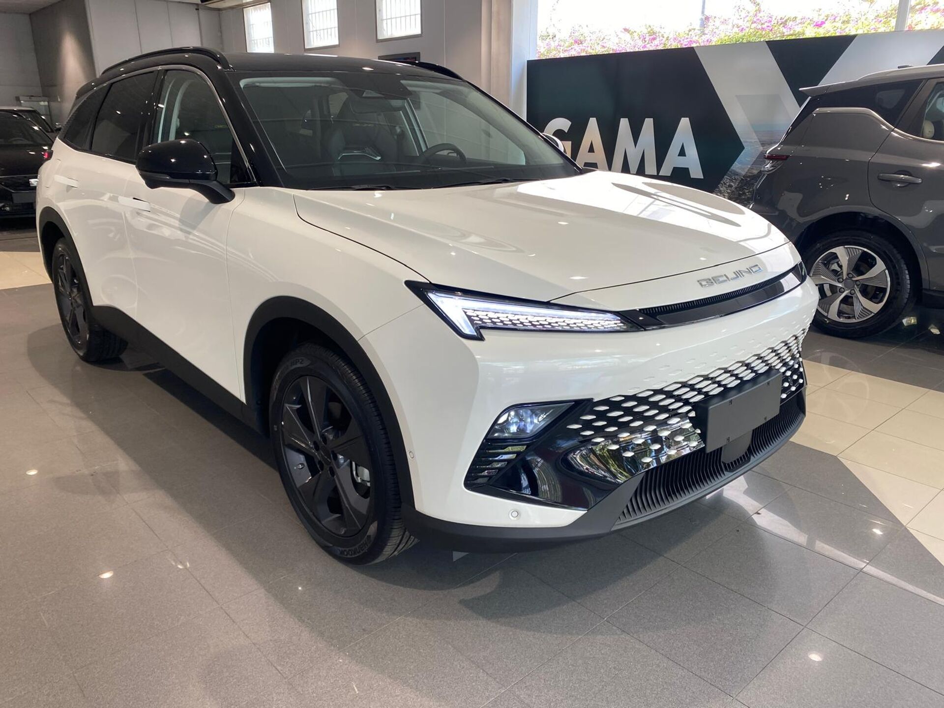 Imagen 3 de BAIC X55