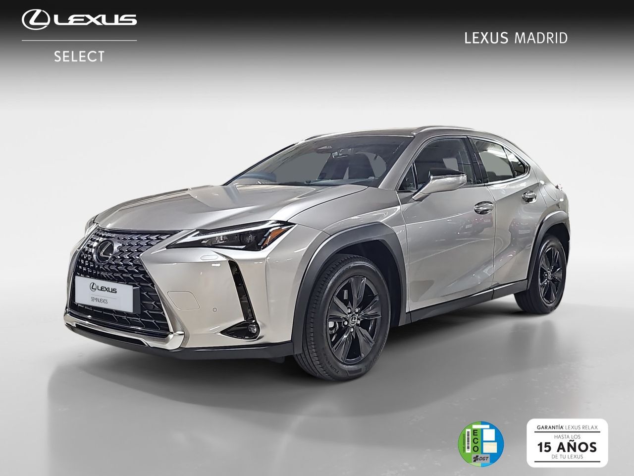 LEXUS UX (2.0 300h UX Plus) en Madrid