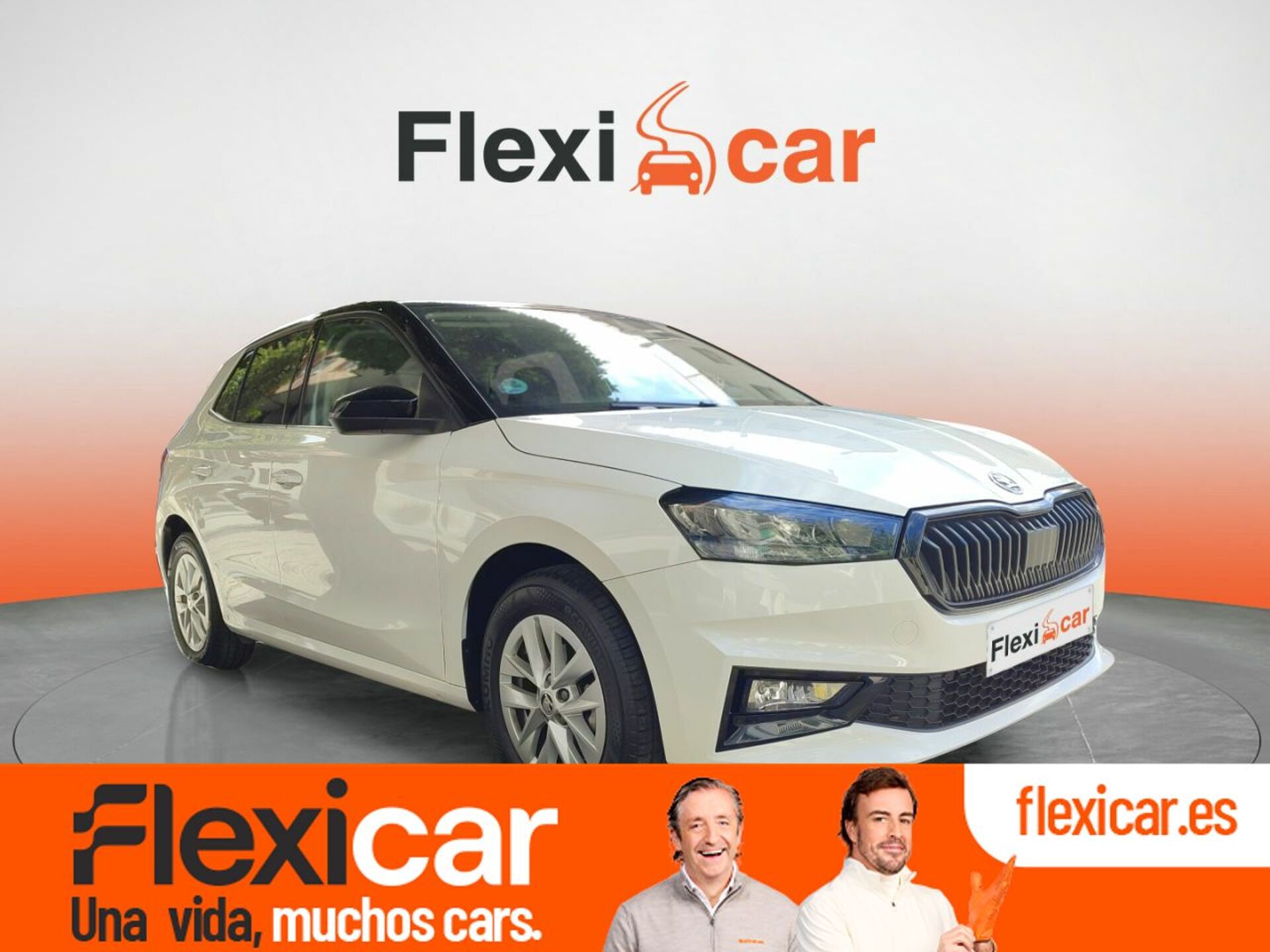 Imagen de SKODA Fabia