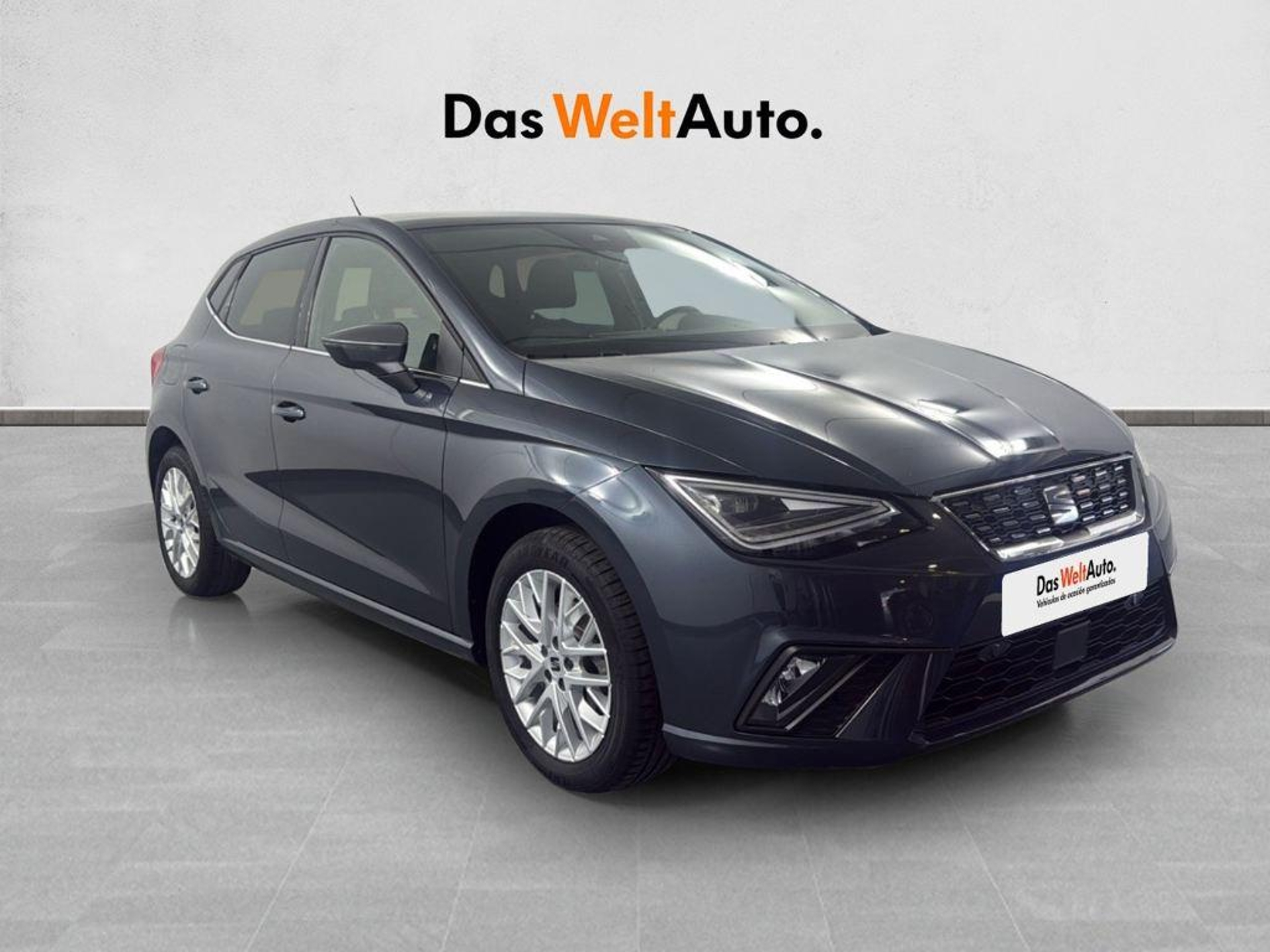 Imagen de SEAT Ibiza