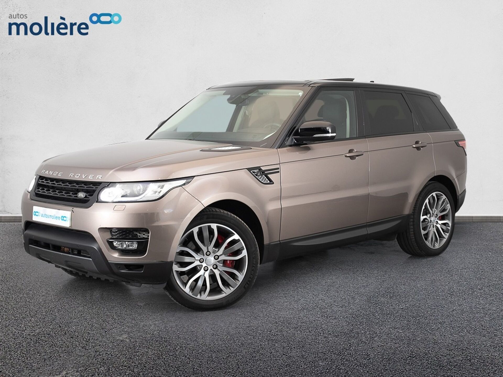 Imagen de LAND ROVER Range Rover Sport