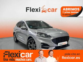 Imagen de FORD Kuga 1.5 EcoBoost ST-Line FWD 150