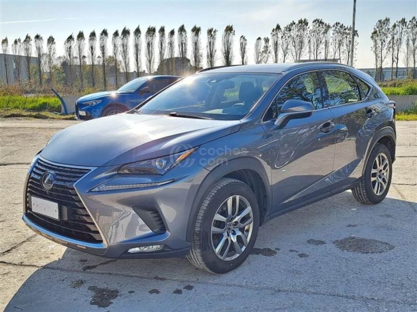 Foto del LEXUS NX 300h Business 2WD