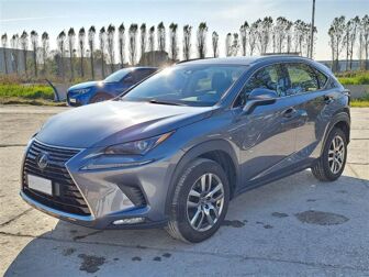 Imagen de LEXUS NX 300h Business 2WD