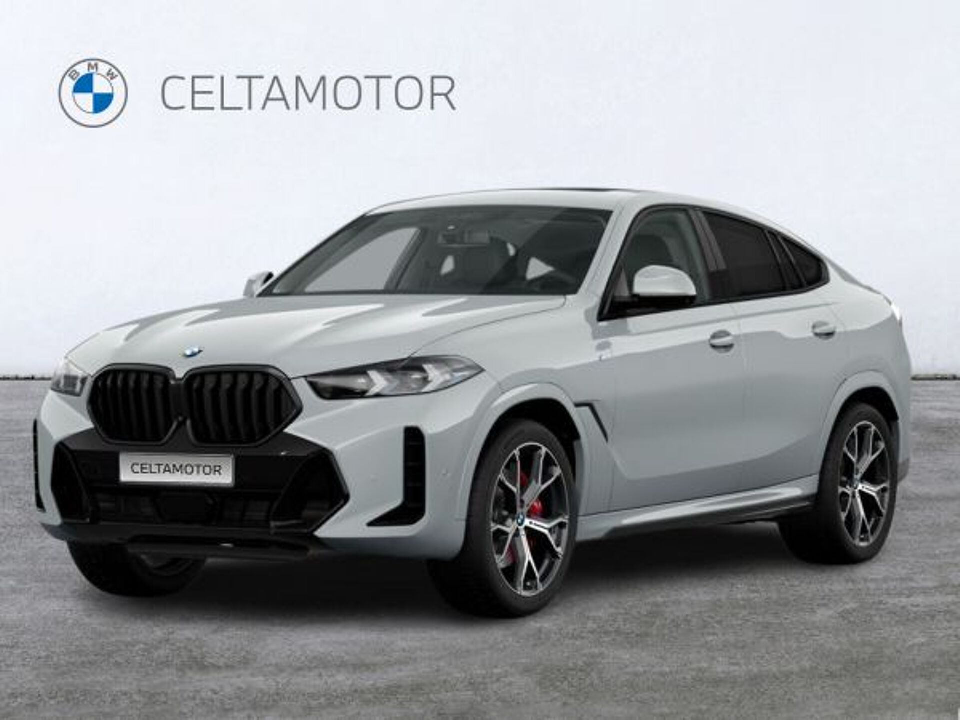 Imagen 1 de BMW X6