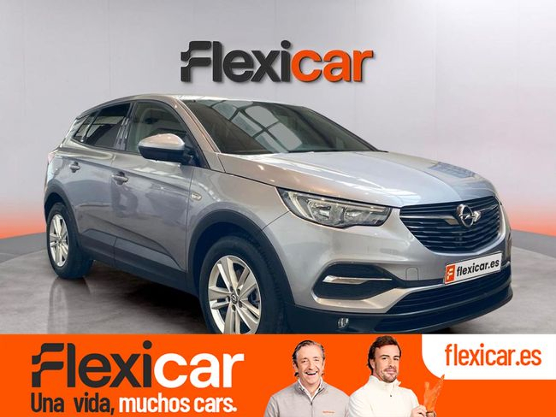 Imagen de OPEL Grandland X