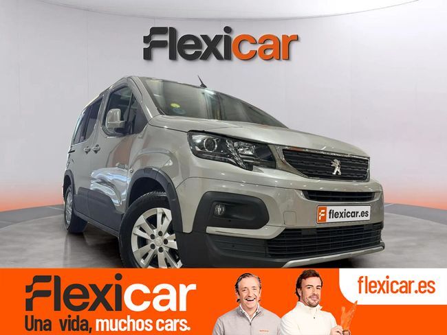 Brugt Peugeot Riffter 