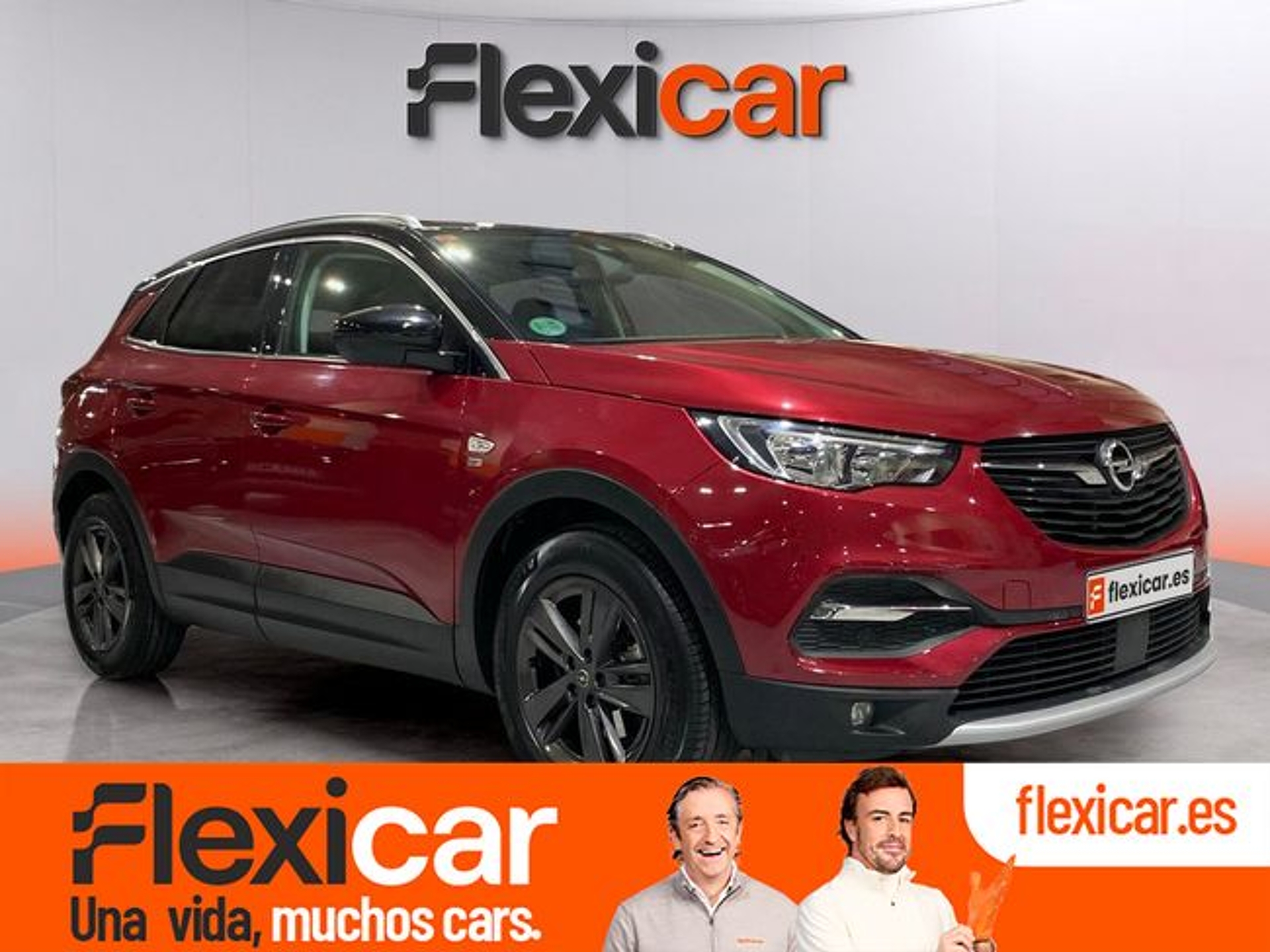Imagen de OPEL Grandland X