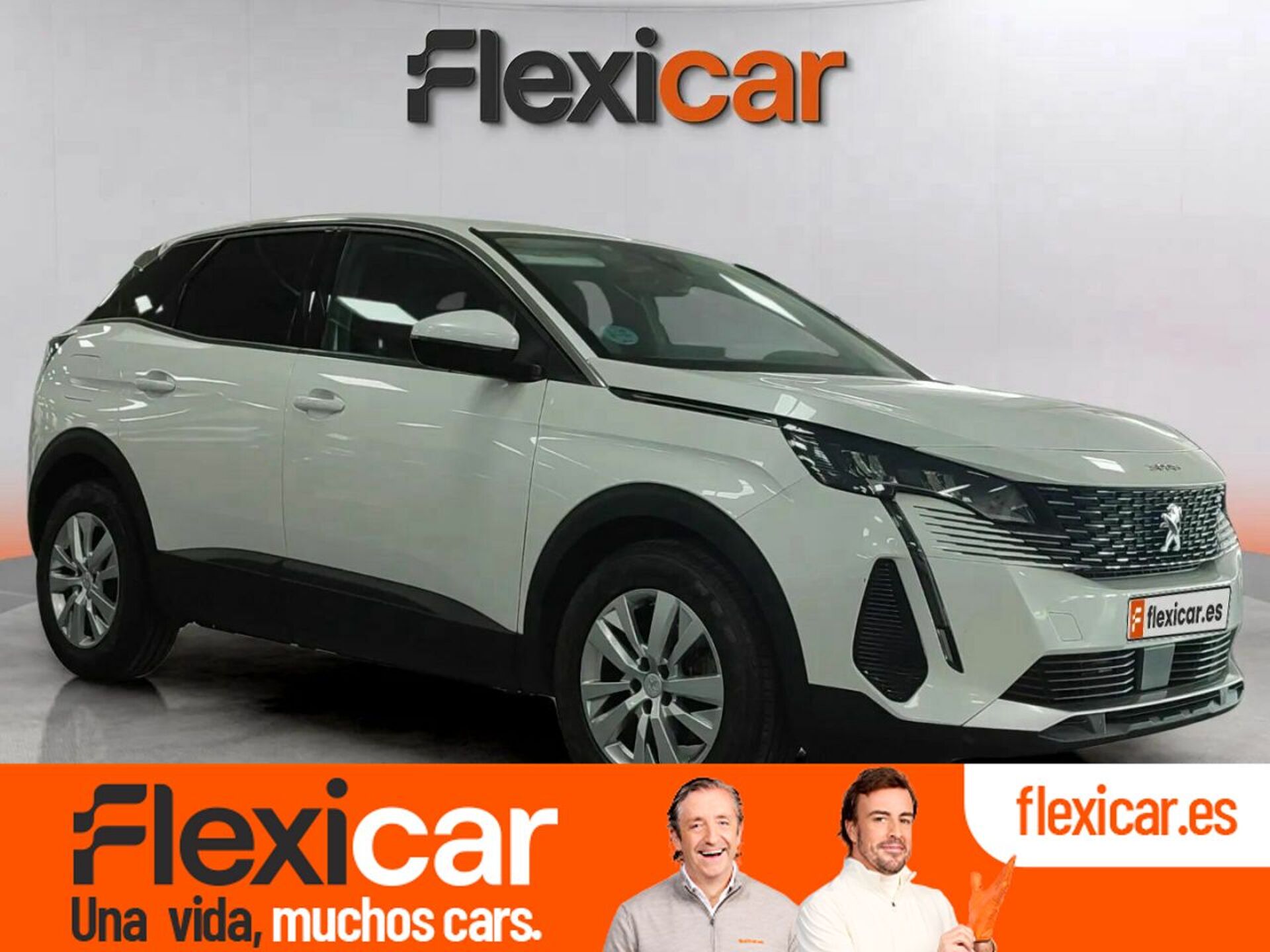 Imagen de PEUGEOT 3008
