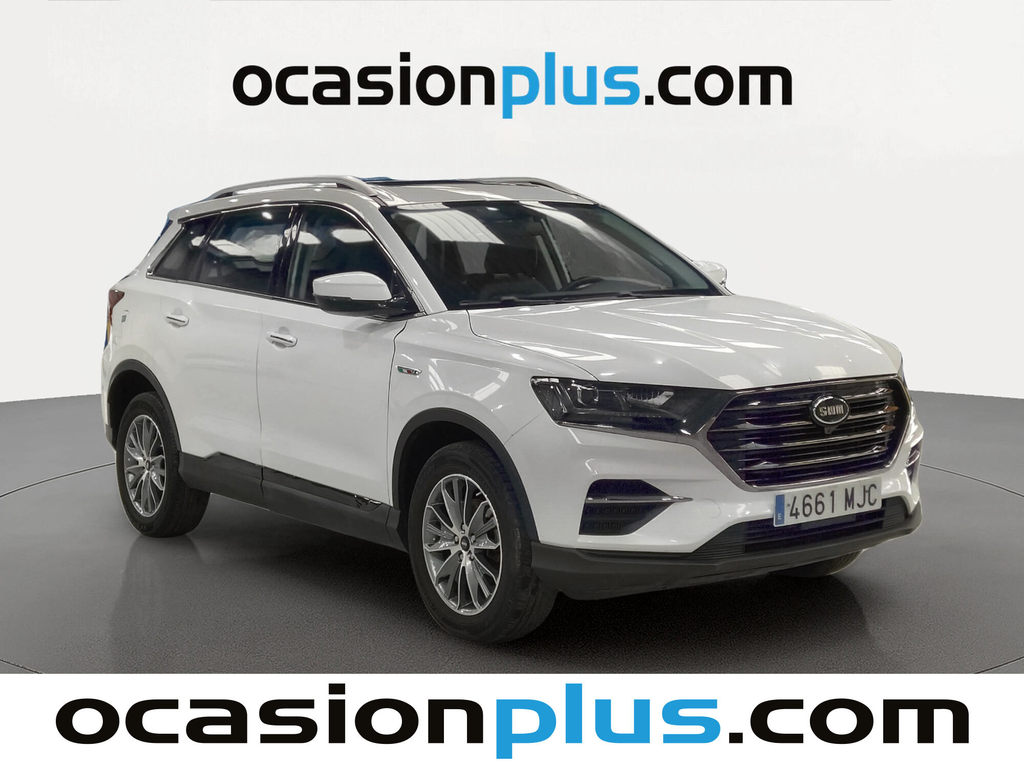 Foto del SWM G01 1.5T Luxury