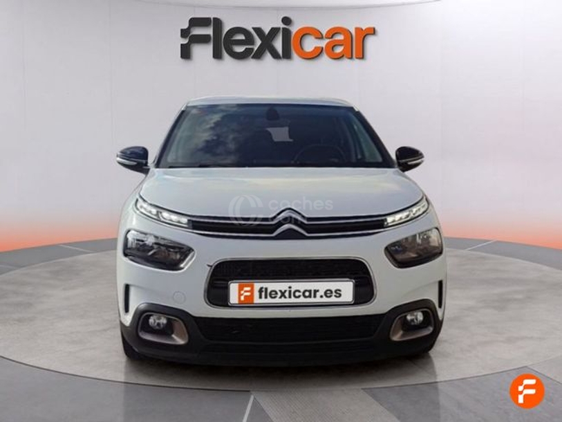 Foto del CITROEN C4 Cactus 1.6BlueHDi S&S Feel 100