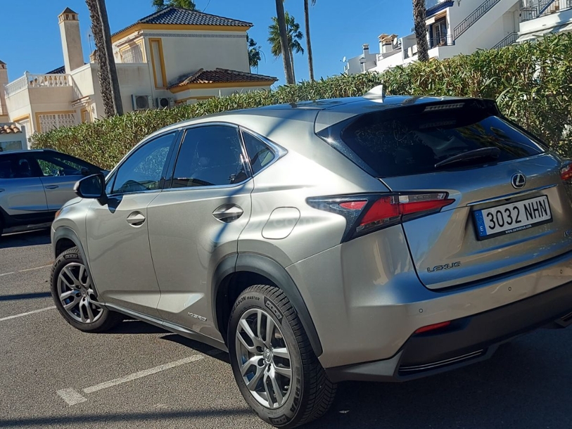Foto del LEXUS NX 300h Executive 4WD + Navibox