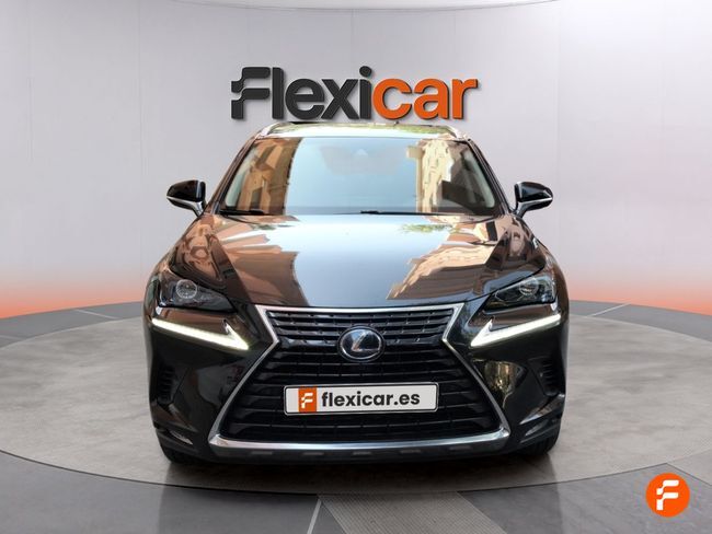 Foto del LEXUS NX 300h Executive Kick Power+ Navigation 4WD