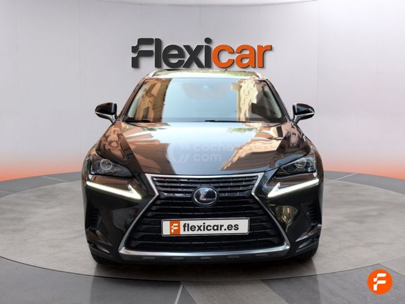 Foto del LEXUS NX 300h Executive Kick Power+ Navigation 4WD