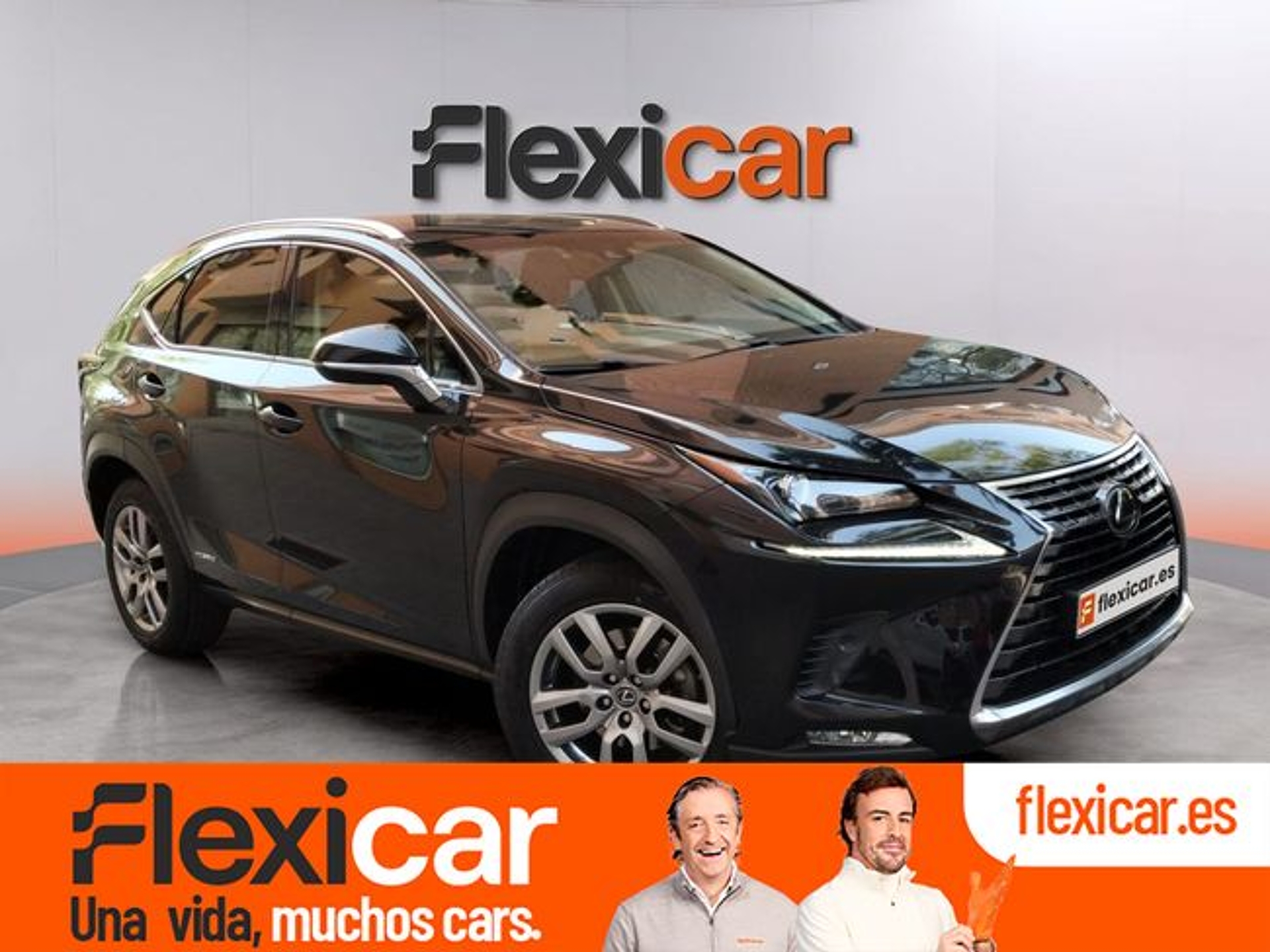 Imagen de LEXUS NX