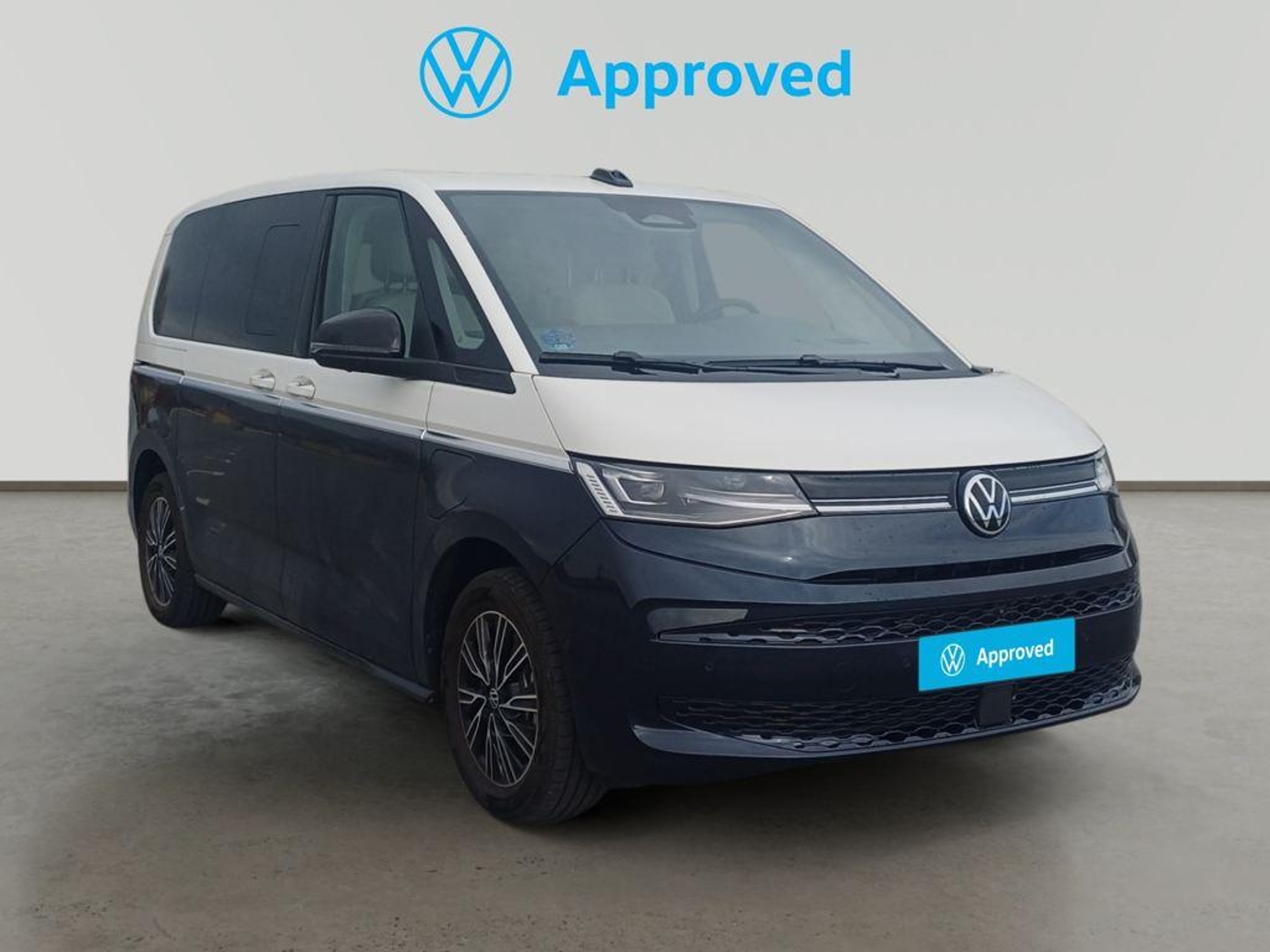 Imagen de VOLKSWAGEN Multivan