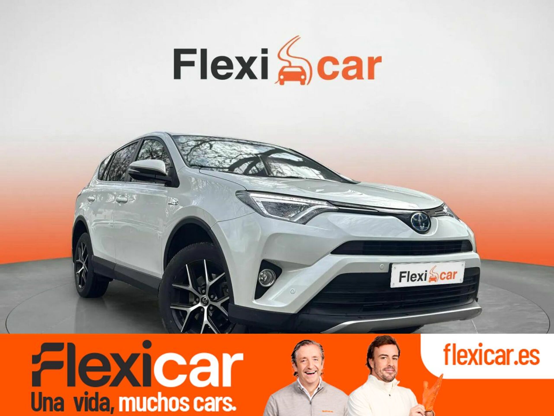 Imagen de TOYOTA RAV-4