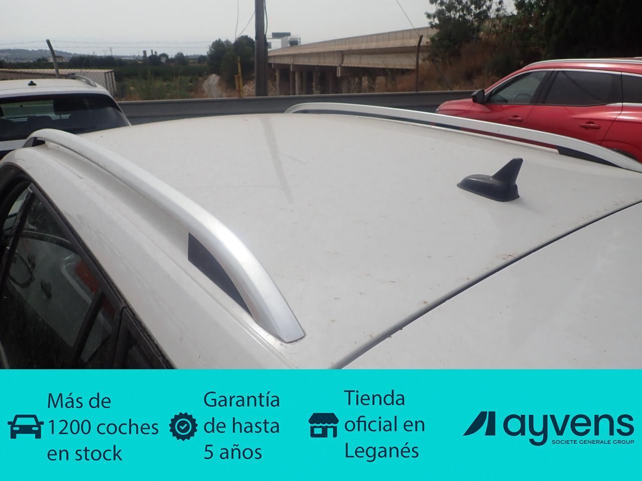 SKODA Kamiq (1.0 TSI Ambition DSG 81 kW (110 CV)) en Madrid