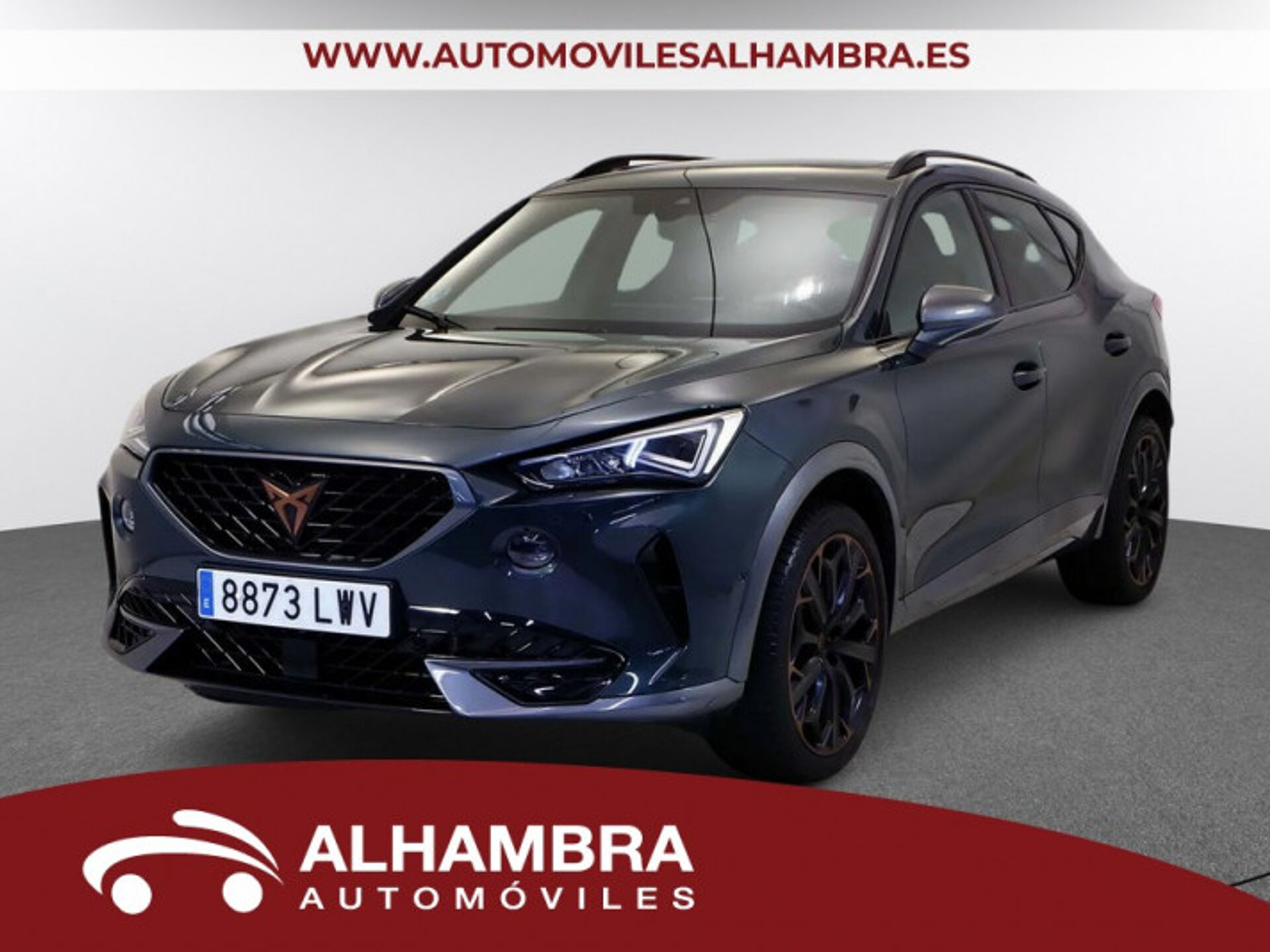 Imagen de CUPRA Formentor
