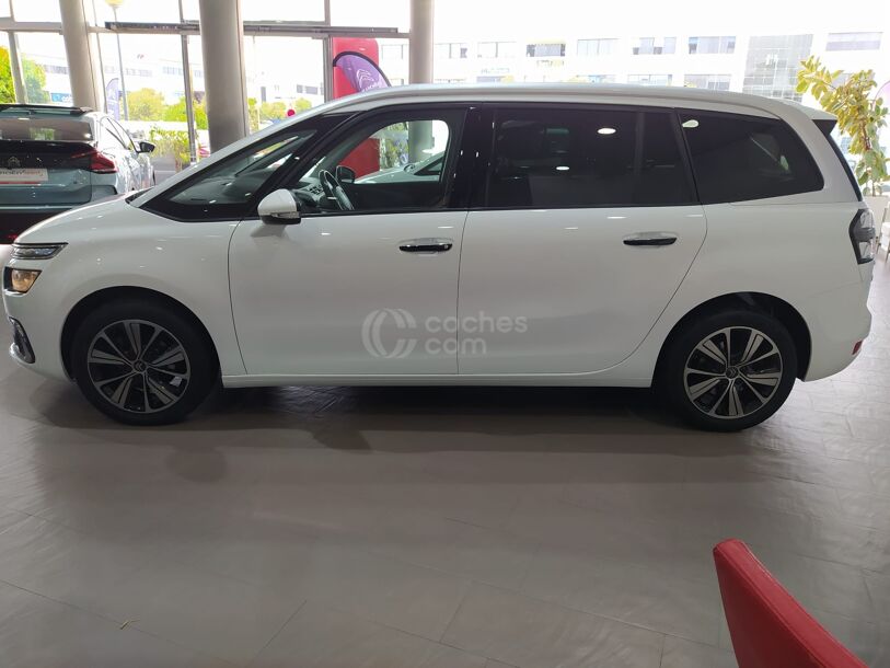 Foto del CITROEN Grand C4 Spacetourer 1.2 PureTech S&S Rip Curl 130