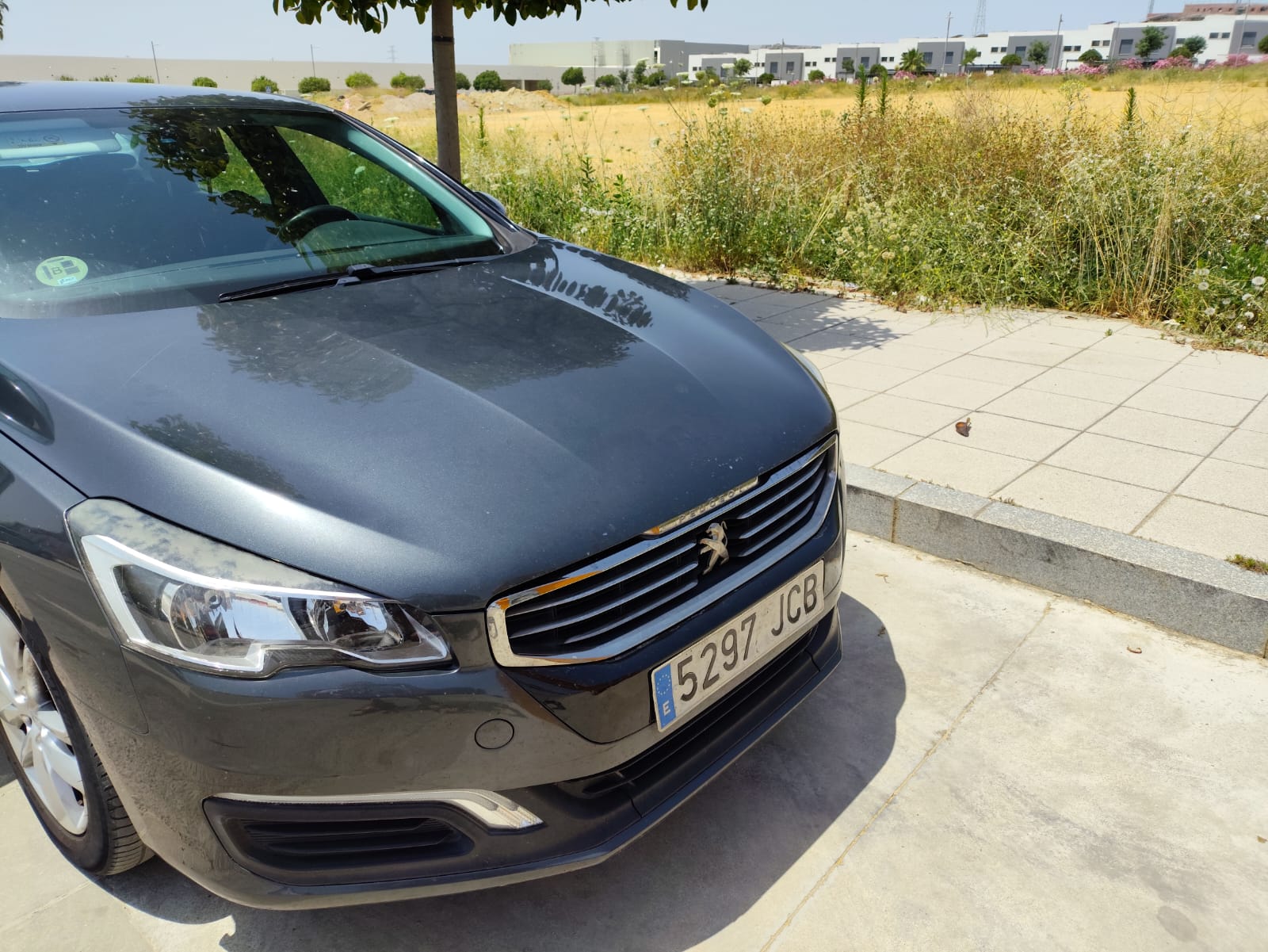 Foto del PEUGEOT 508 SW 1.6e-HDI Active 115