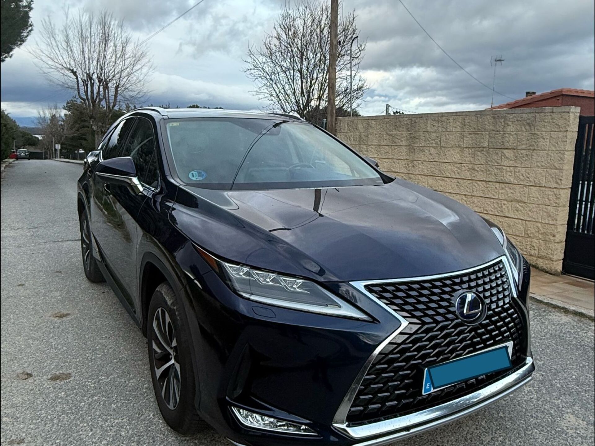 Imagen 2 de LEXUS RX