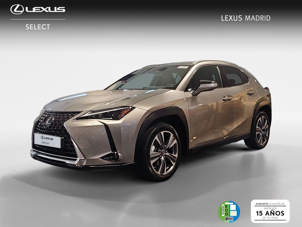 LEXUS UX (300e Executive) en Madrid