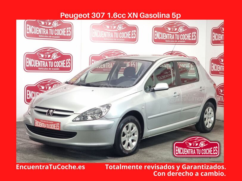 Foto del PEUGEOT 307 1.6i XN