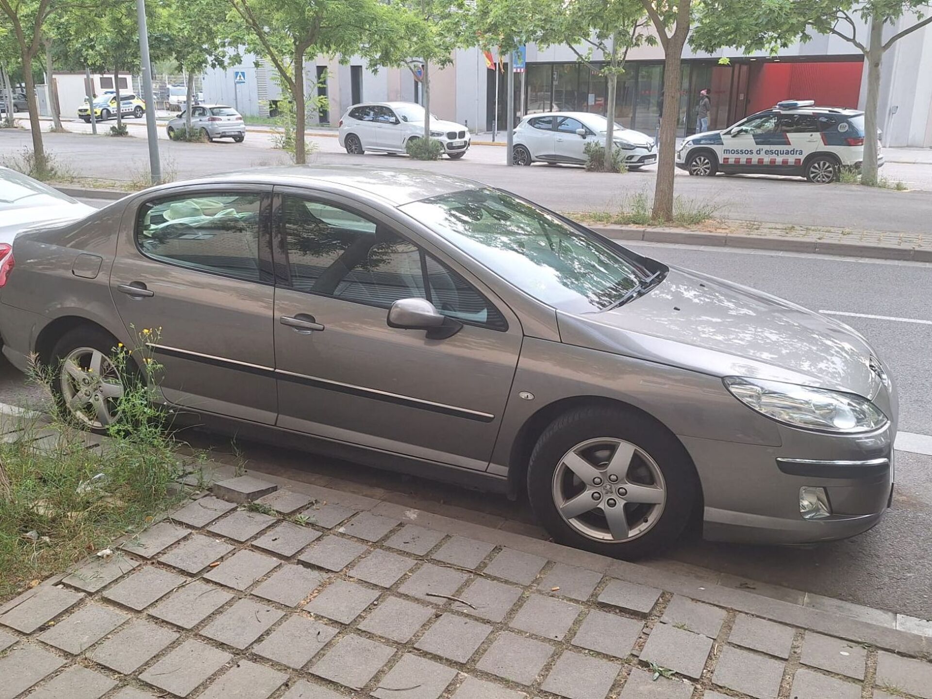 Imagen 2 de PEUGEOT 407