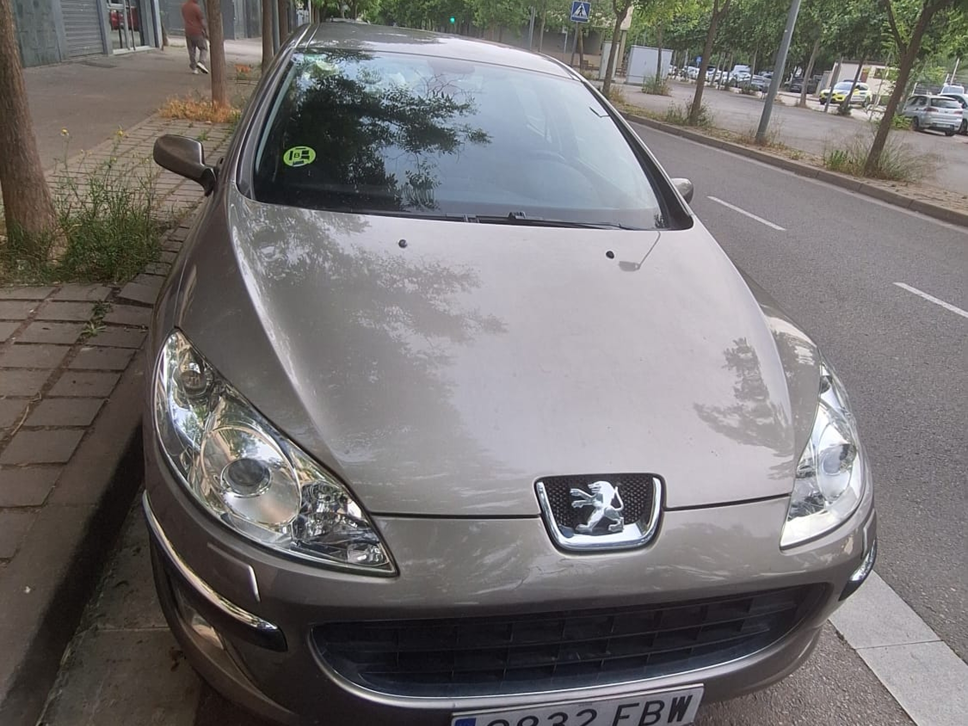 Imagen de PEUGEOT 407