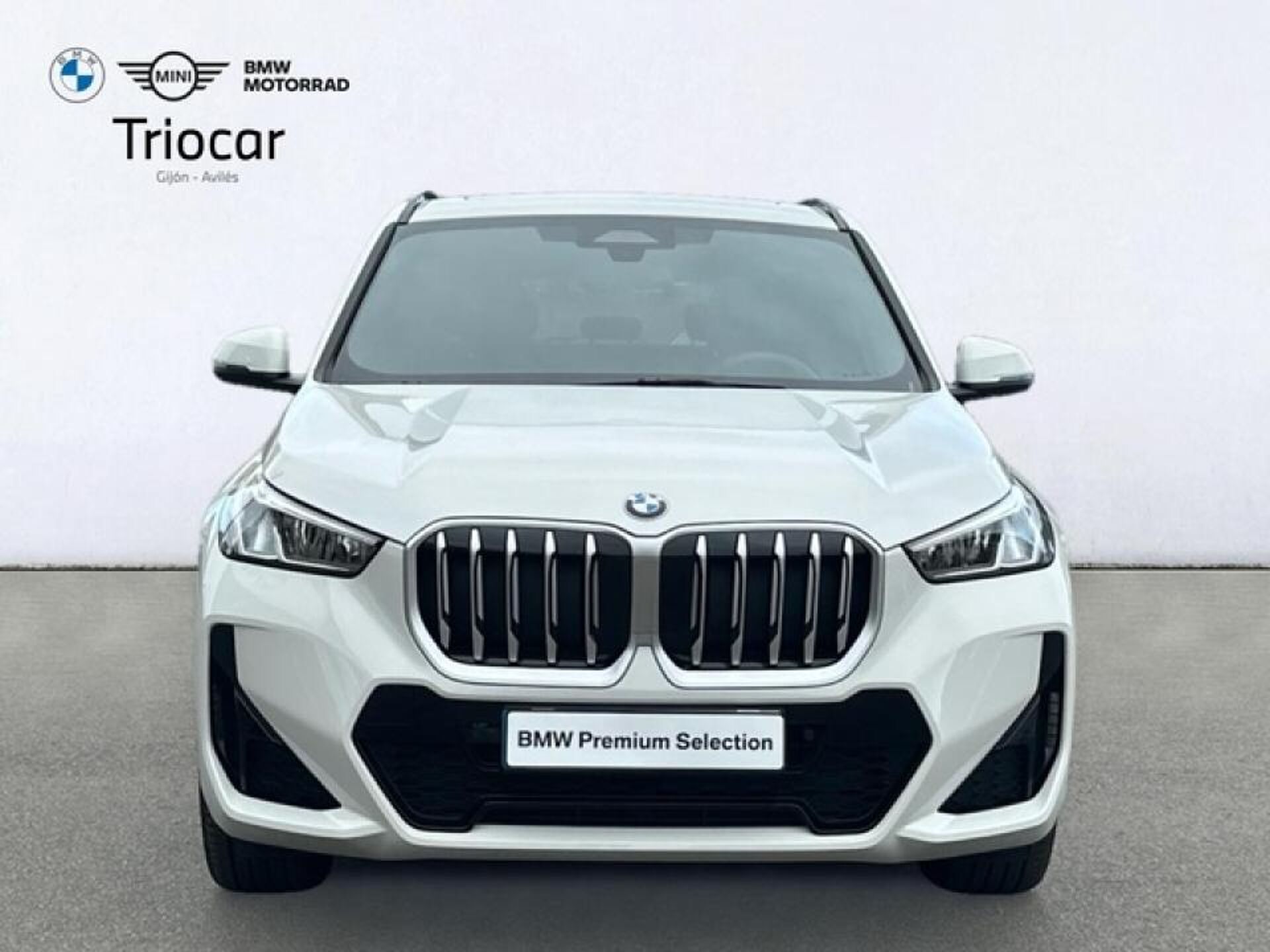 Imagen 2 de BMW X1