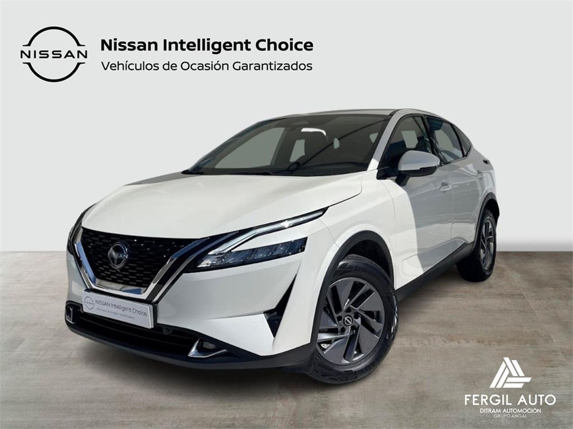 Imagen de NISSAN Qashqai