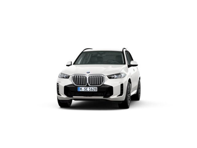 BMW X5 (xDrive30d 219 kW (298 CV)) en Alicante