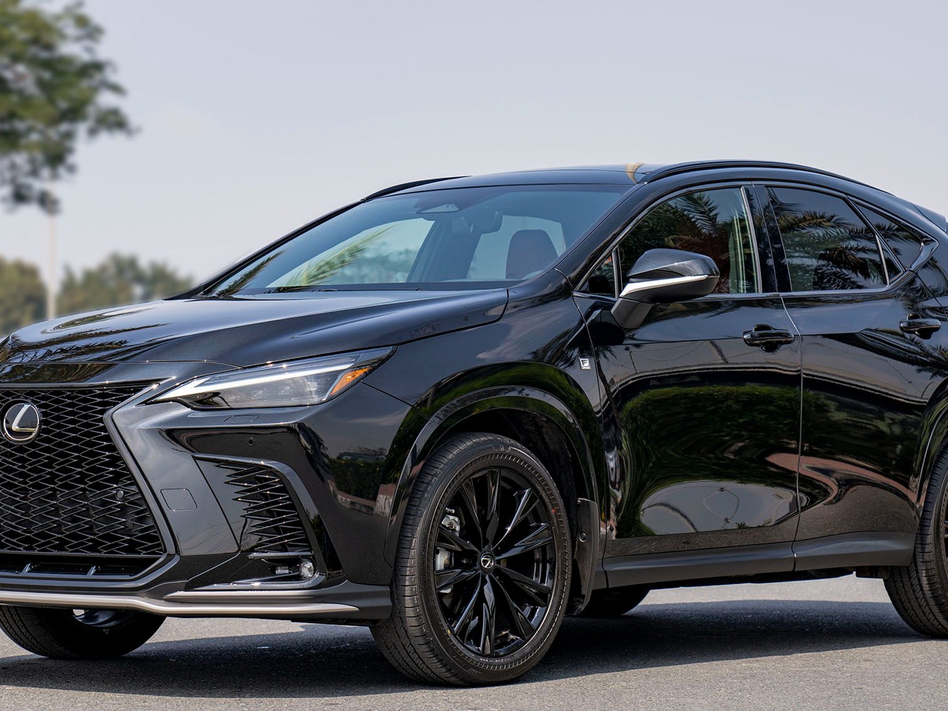 Imagen de LEXUS NX
