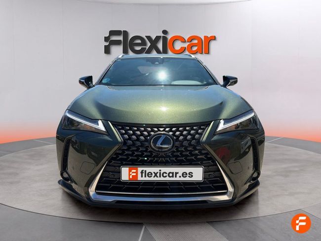 Foto del LEXUS UX 250h Business 4WD