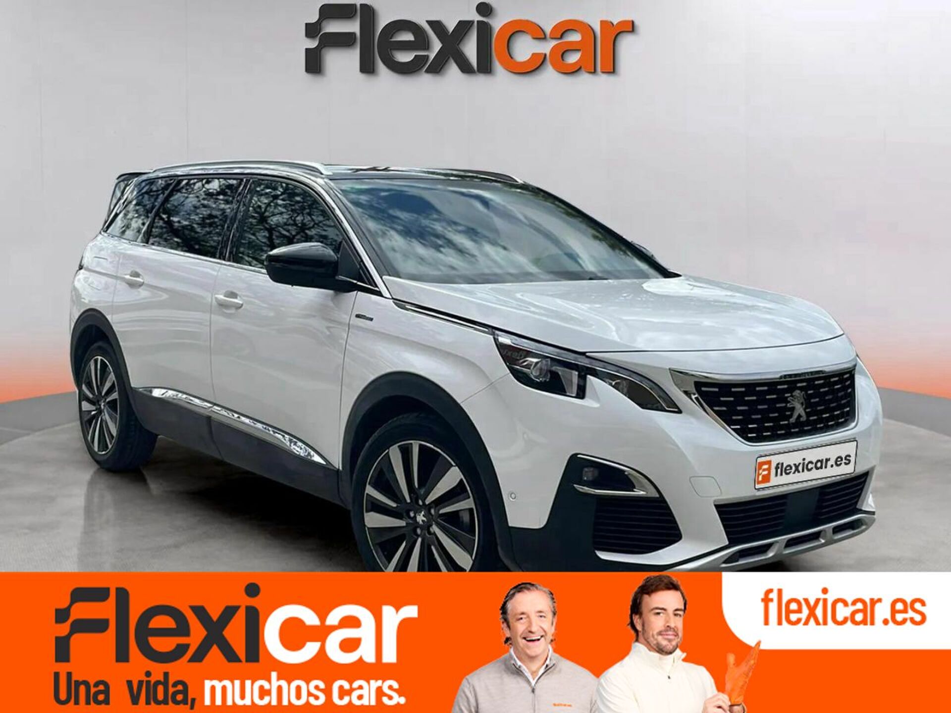Imagen de PEUGEOT 5008