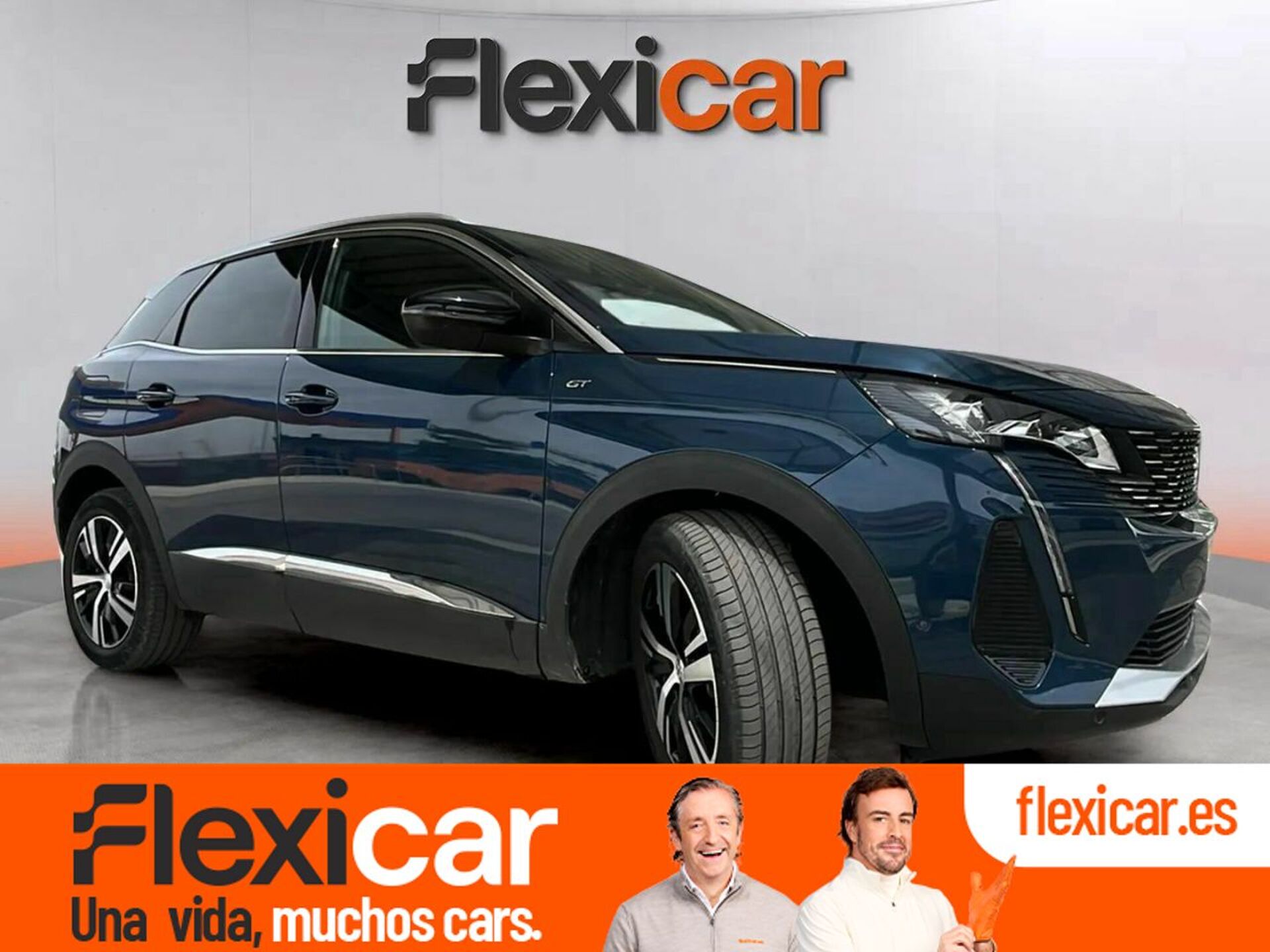 Imagen de PEUGEOT 3008