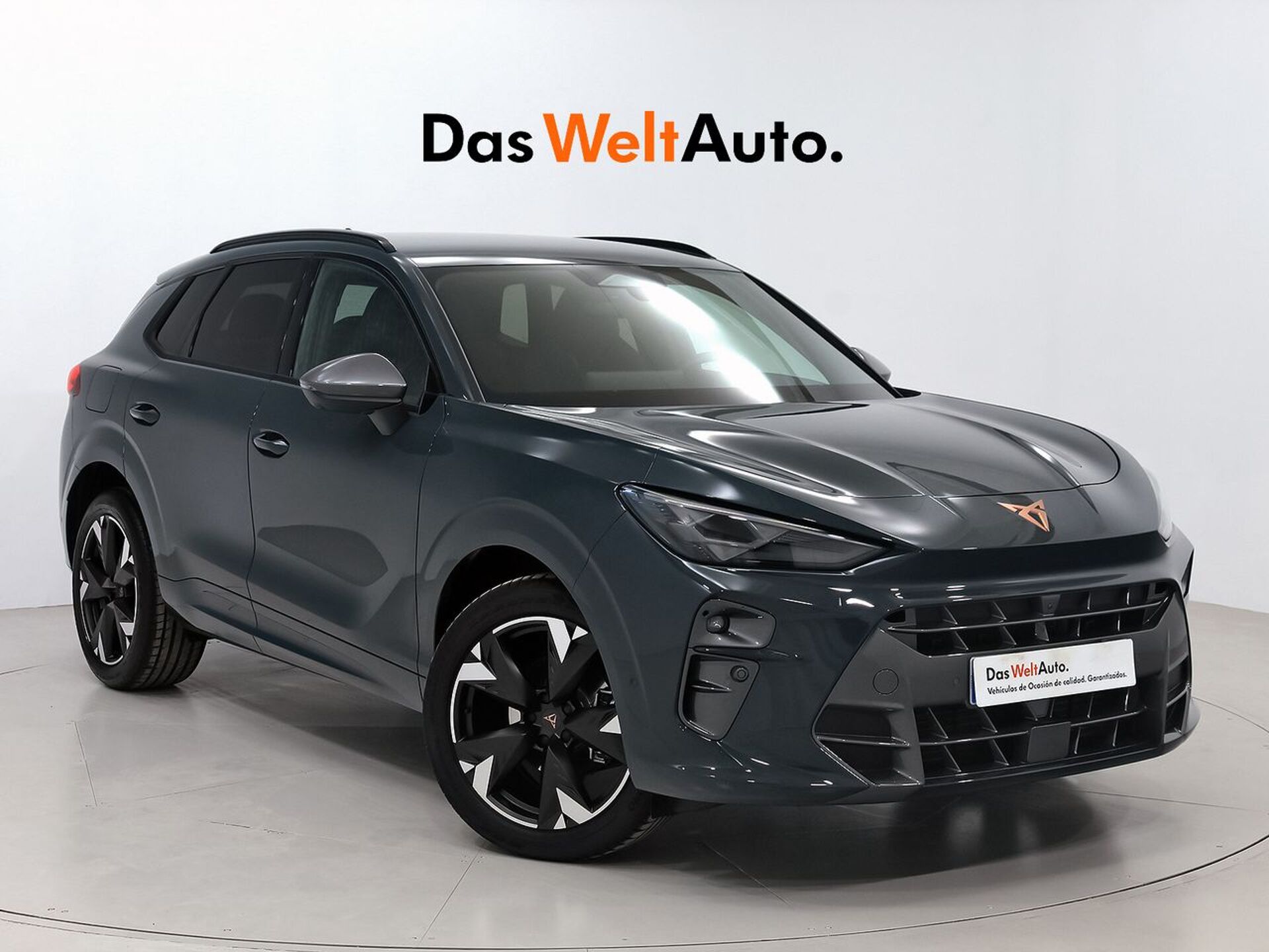Imagen de CUPRA Terramar