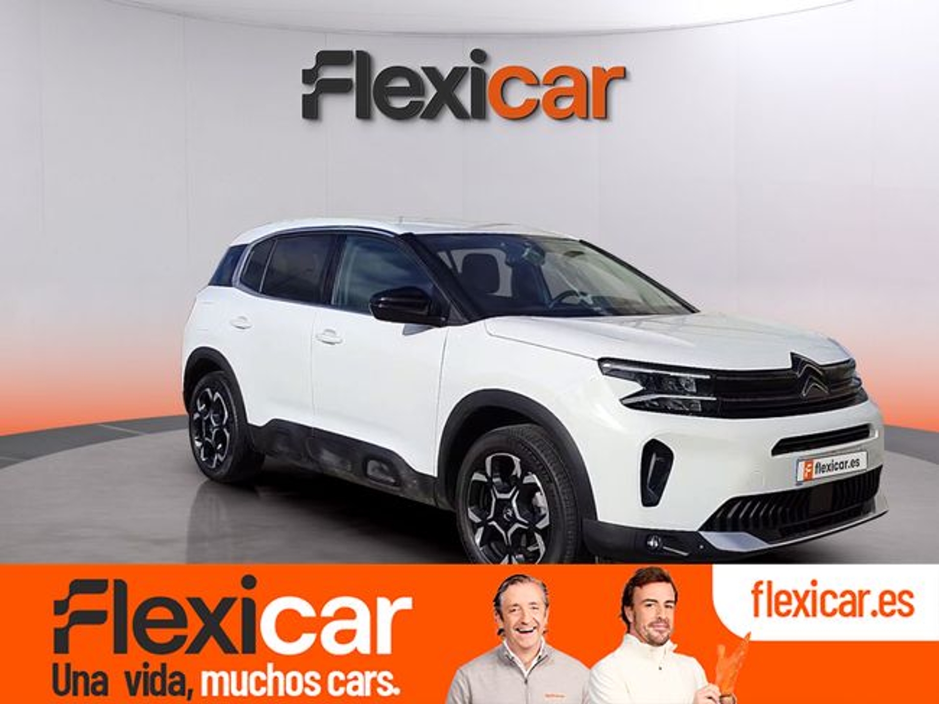 Imagen de CITROEN C5 Aircross