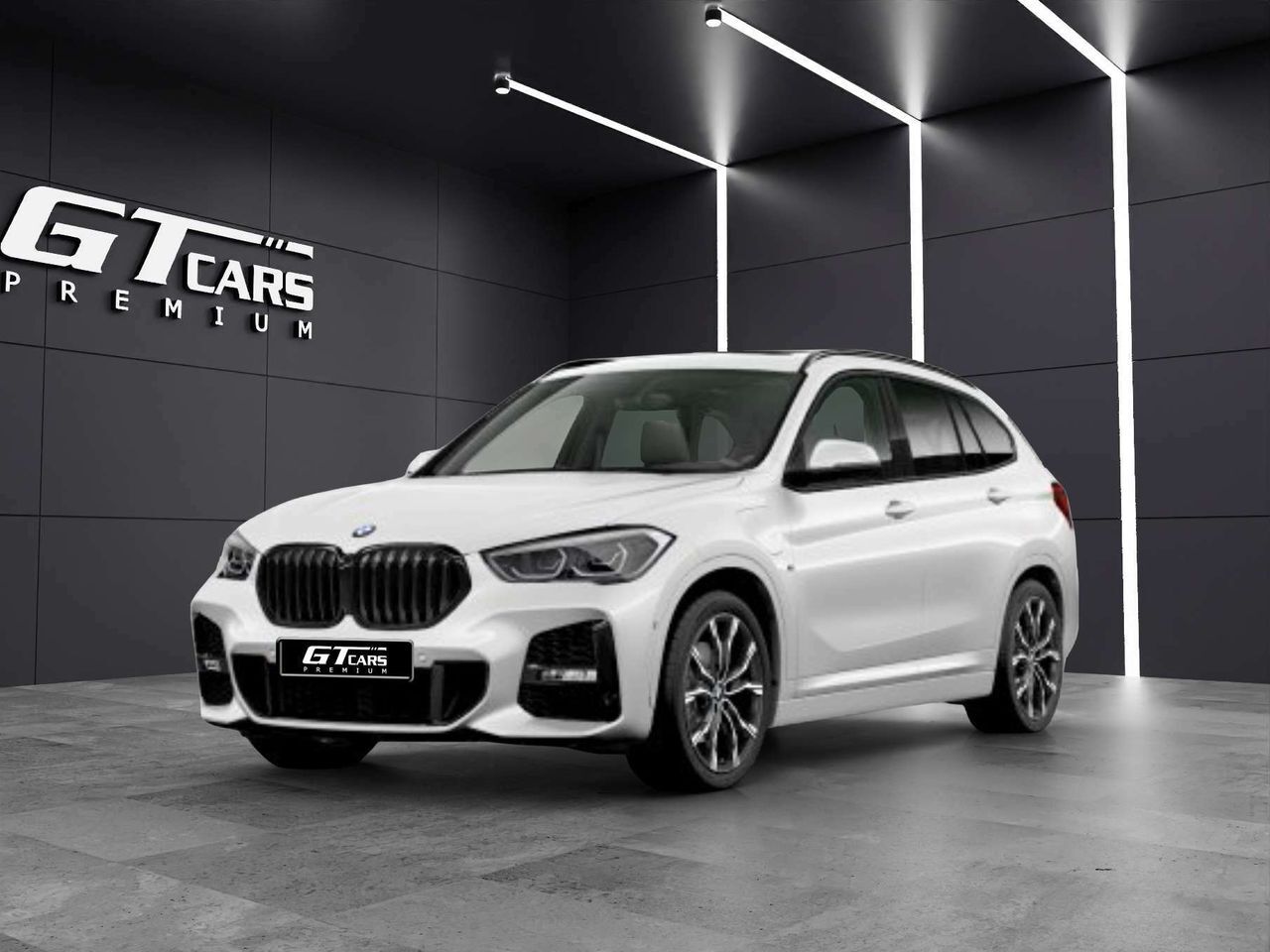 BMW X1 (xDrive25e M) en Palmas, Las