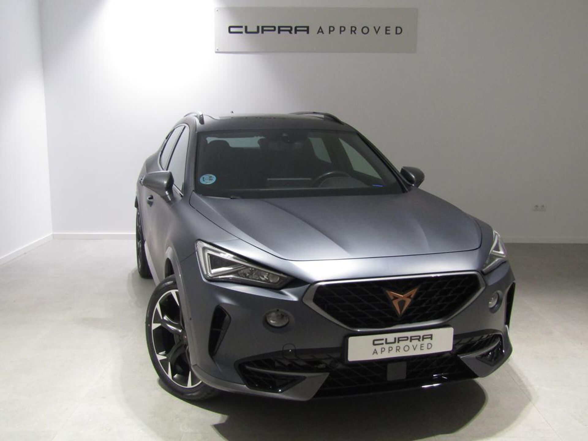 Imagen 1 de CUPRA Formentor