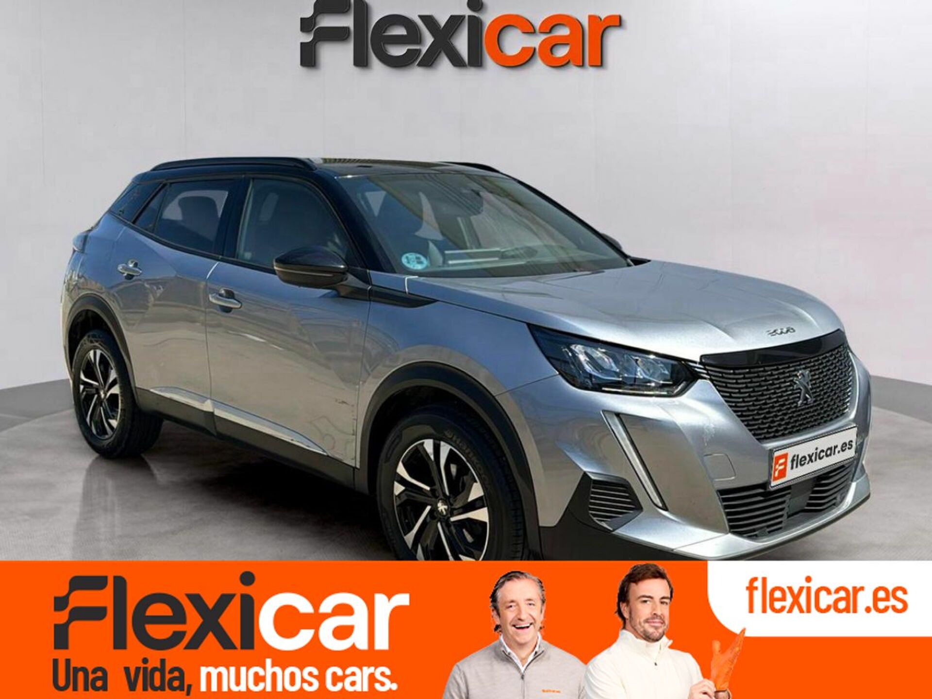 Imagen de PEUGEOT 2008