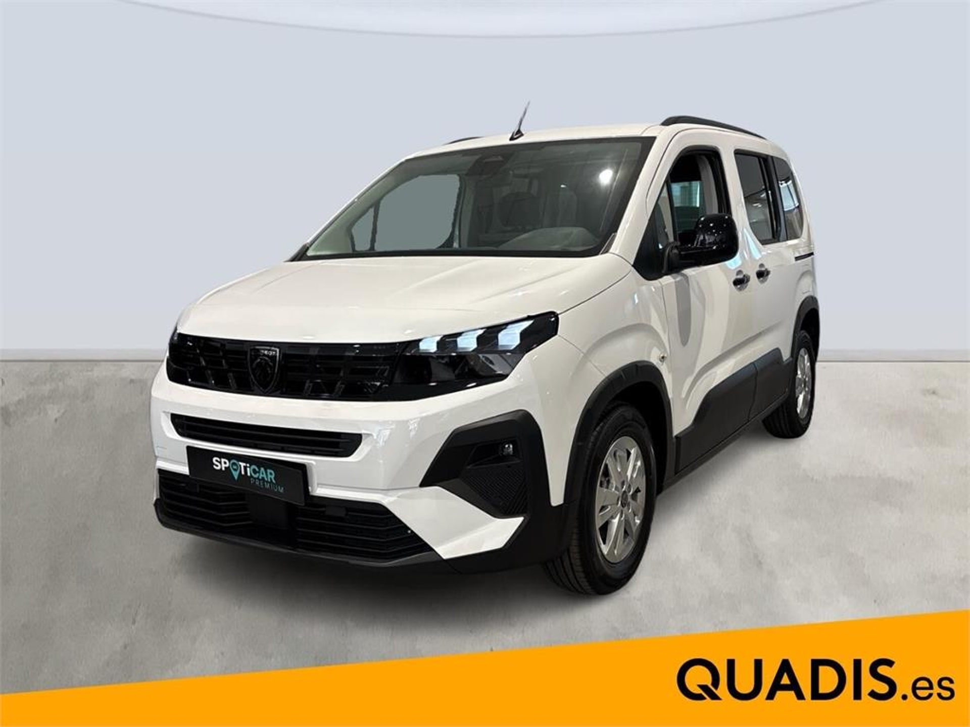 Imagen de PEUGEOT Rifter