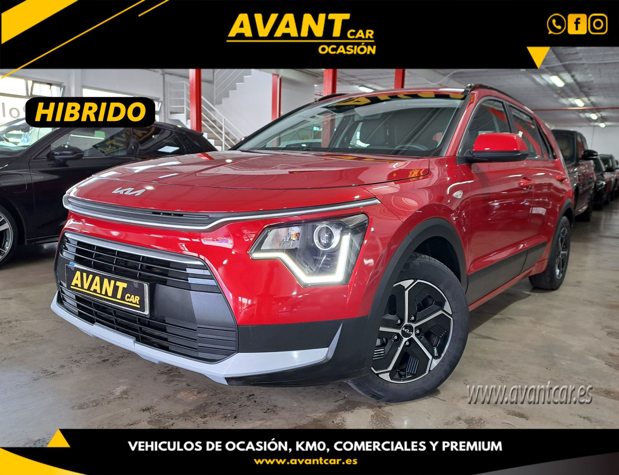 KIA Niro (1.6 HEV Concept 141) en Palmas, Las