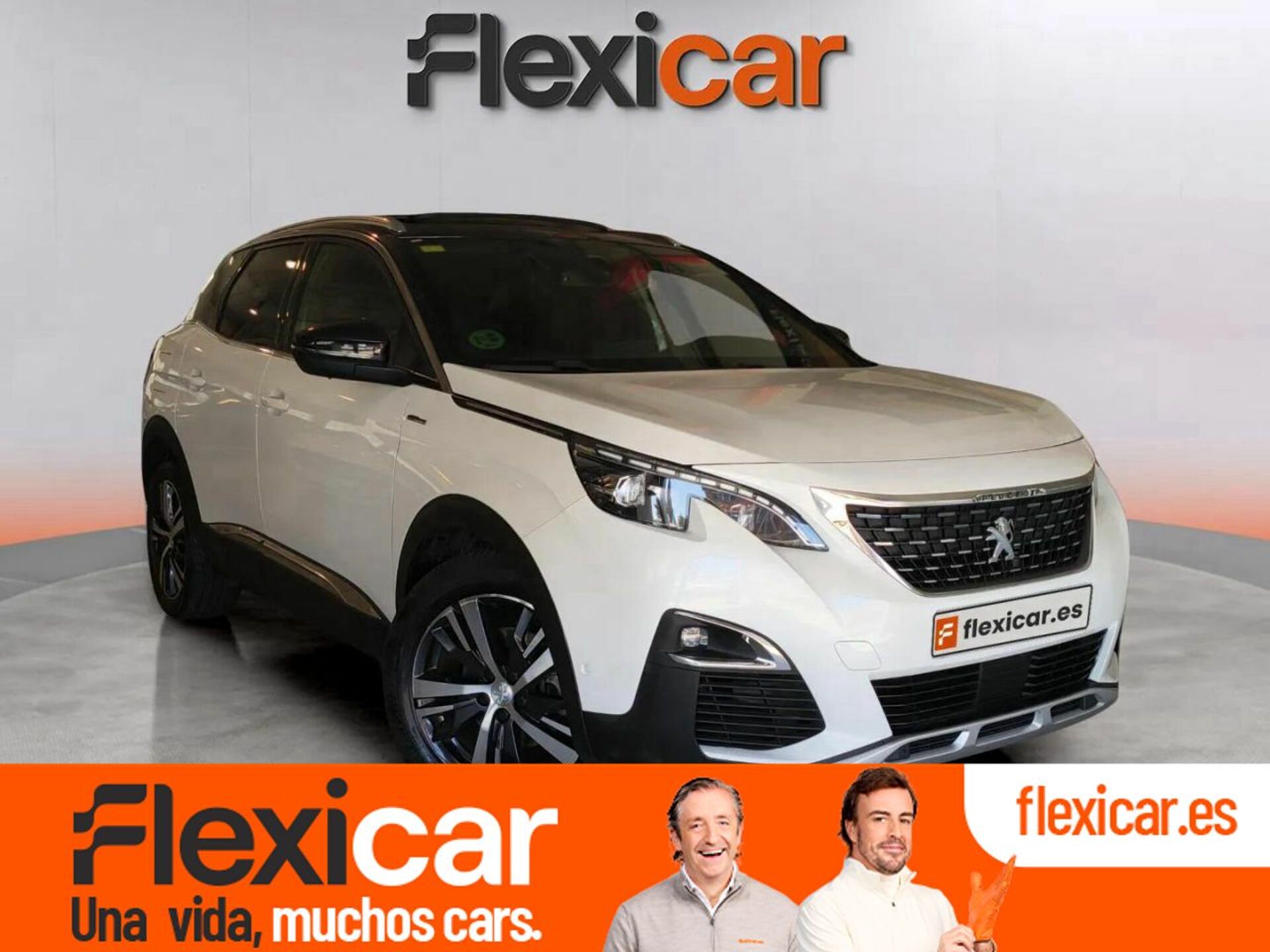Imagen de PEUGEOT 3008